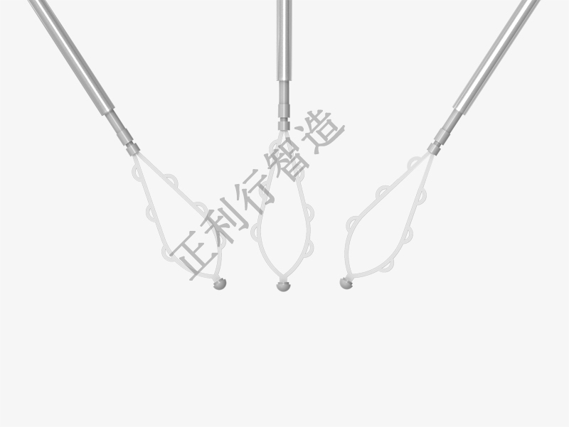 子宮內膜取樣器